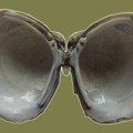Corbicula fluminea -  2. Fund