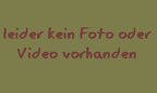 Ordnung Blattodea (Brunner von Wattenwyl, 1882)