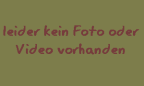 Cervus elaphus -  1. Fund